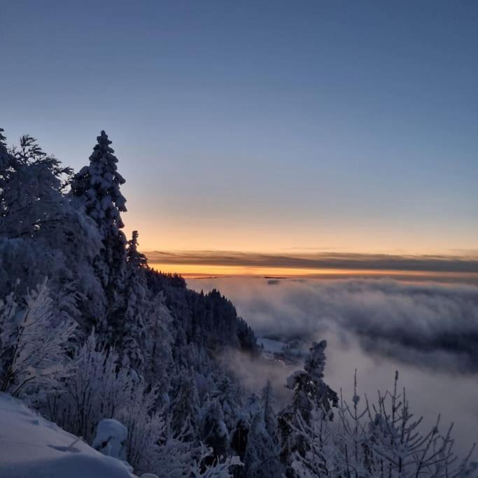 Le Montagnard Διαμέρισμα Mijoux Εξωτερικό φωτογραφία